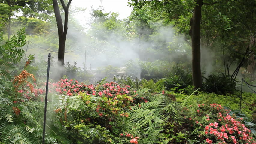 A misting irrigation system providing a moist humid environment for lush ferns and flowering plants.