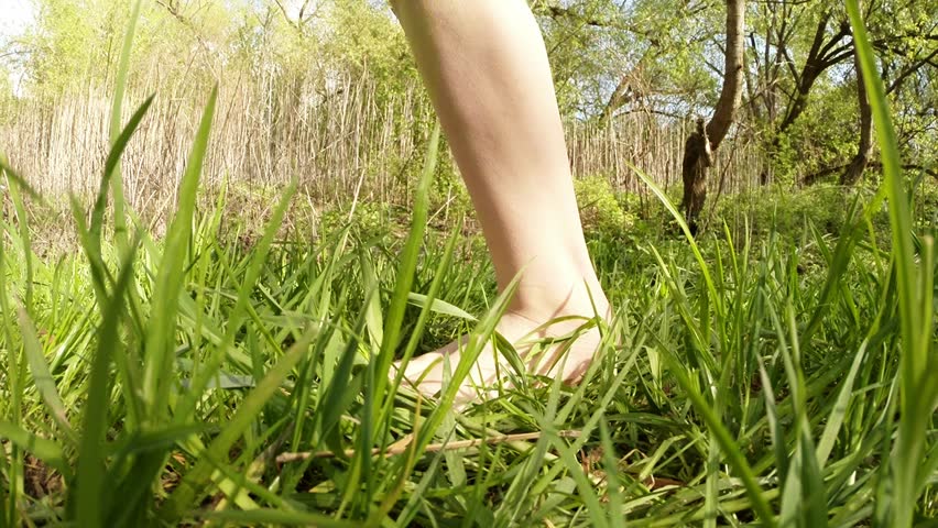 Woman S Bare Feet Walking Over Green Grass Field Flowers Of Clover