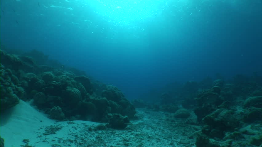 Sunbeams shining through water, underwater view 