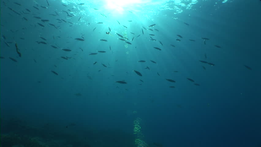 Sunbeams shining through water, underwater view 
