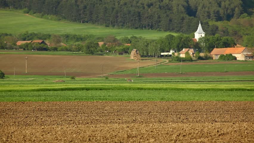 Corn sowing tractor near the village