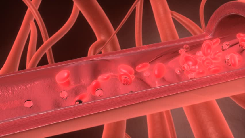 High quality 3D animated render of Red Blood cell in human Blood Vessel, created using Maya and Digital Fusion.