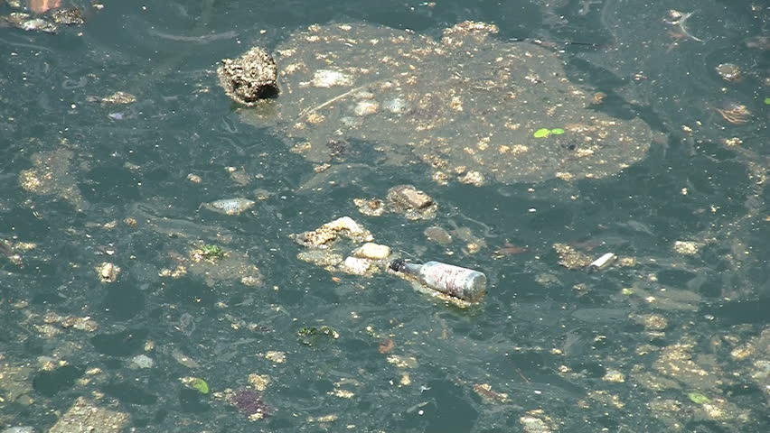 Polluted Water