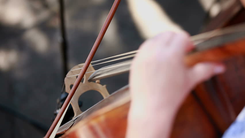 Play on the contrabass. Woman plays professionally on the contrabass. Two frame. The background is blurred. Motion zoom.