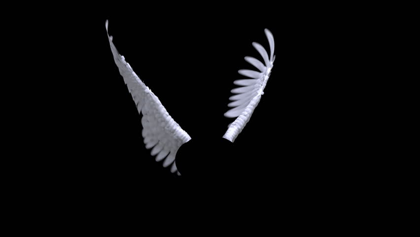 Angel wings animation with luma matte