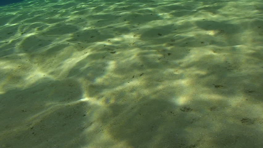 Wide angle scenic shot in clear blue water of Ripples sunlight on the floor of a shallow sandy bay reflected by a calm ocean surface. Marsa Bareka, Ras Mohammed 