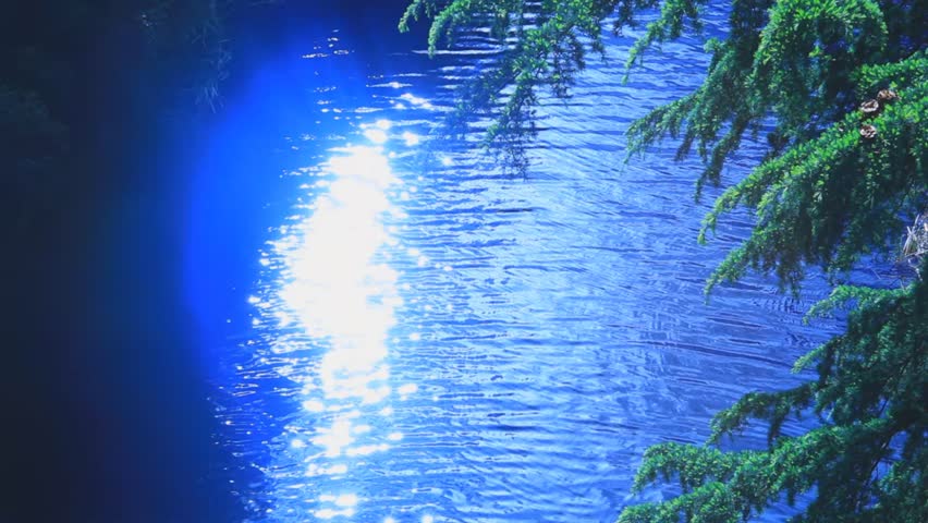 shining blue water and tree