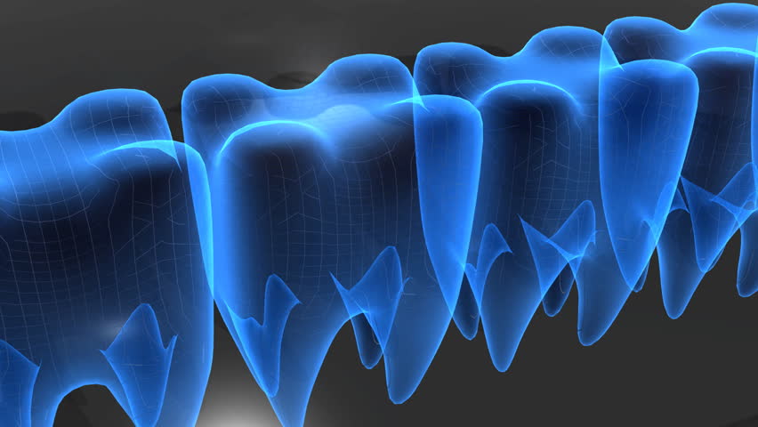 Teeth, molars, dental concept.