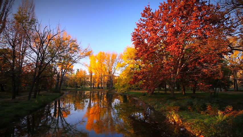 Vivid colors autumn scenery - city park landscape reflecting into water surface  