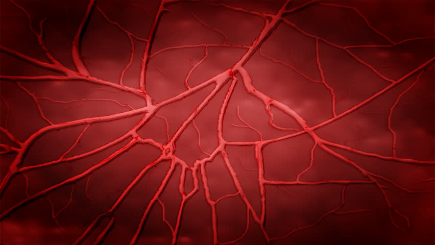 heart beat and zoom into blood vessel HD pal 1080x720