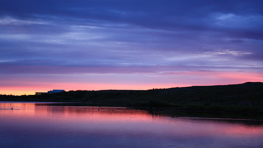 Swans on a peaceful lake during and Icelandic summerÃÂ´s "midnight sun"