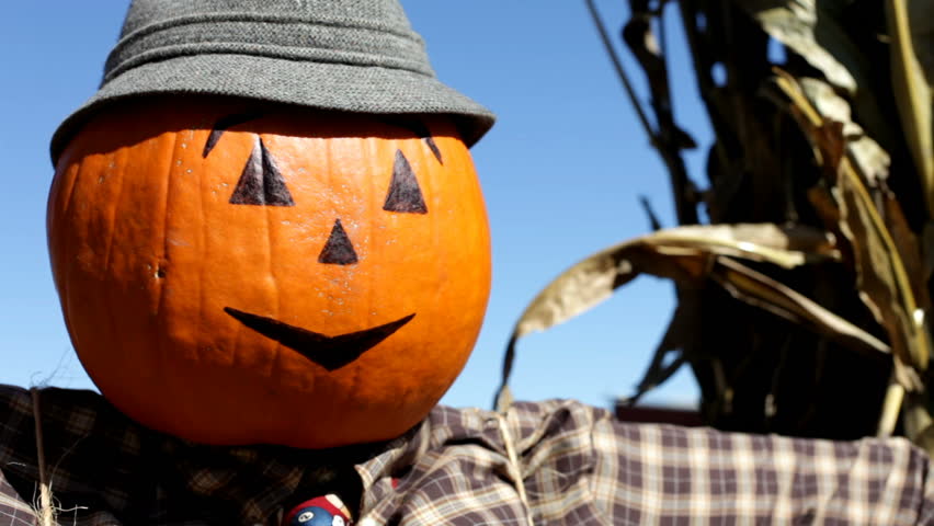 Header of scarecrow