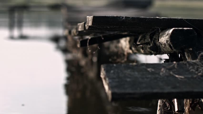 Header of rotten