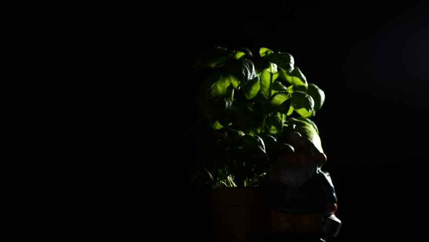Header of Low Key