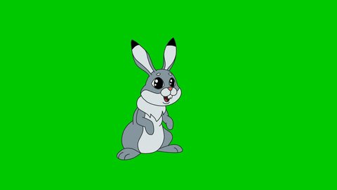 Cartoon Character Hand Drawn Animated Hare Stock Footage Video (100%  Royalty-free) 1007604064 | Shutterstock