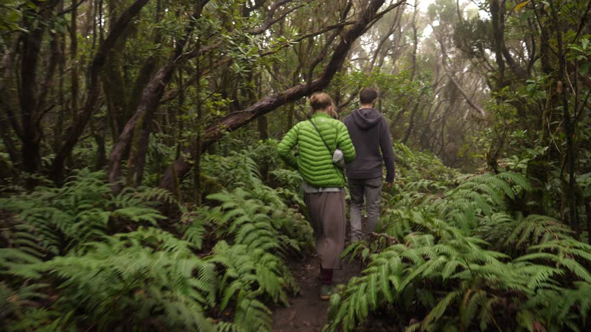 Hiking Couple Tracking Walking Along Stock Footage Video 100