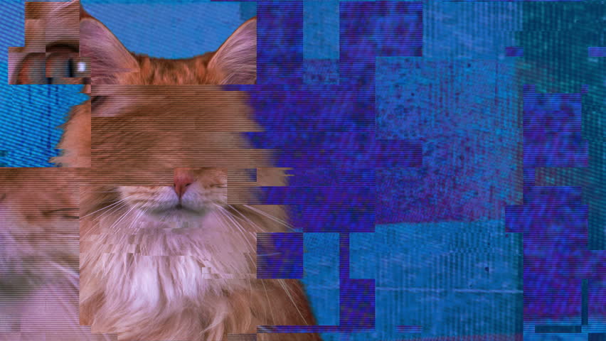 Header of purr