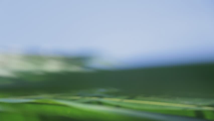 Header of variable