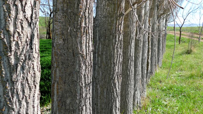 Header of sequential