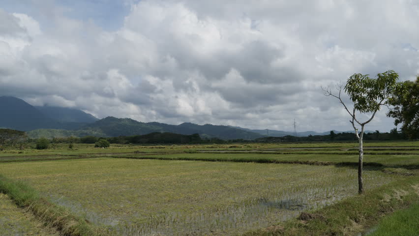 Header of minimum
