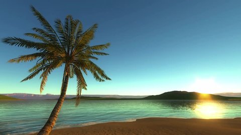 Tropical Beach Background Loop Stock Footage Video (100% Royalty-free)  1010004164 | Shutterstock