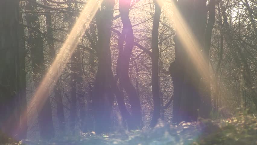 Header of wakening