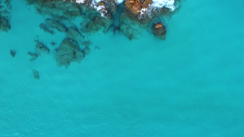 Tropical Shoreline of Malaysia image - Free stock photo - Public Domain ...