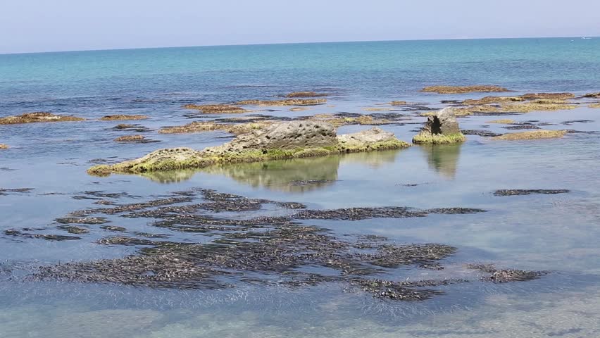Header of Punta