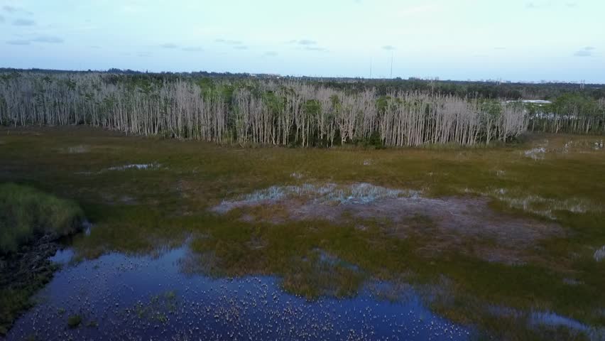 Grassy Marsh Landscape image - Free stock photo - Public Domain photo ...