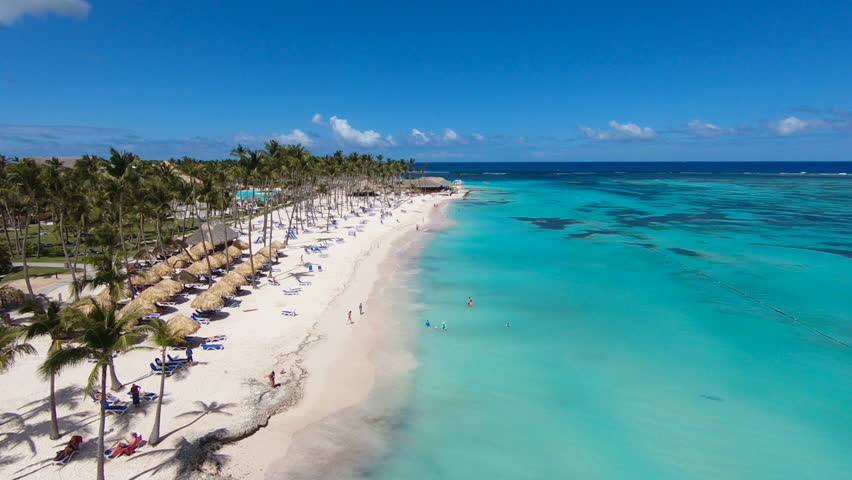 Palm Trees on the Beach in Cuba image - Free stock photo - Public ...