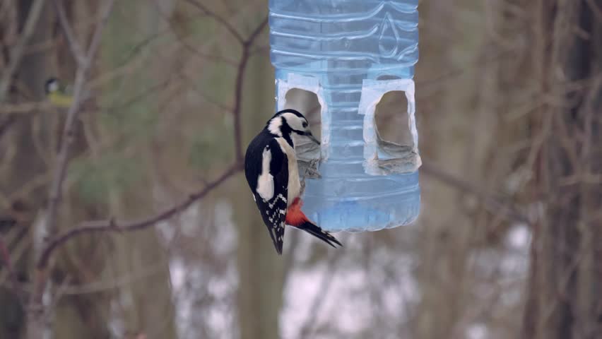 Bird Feeder Made From Used Stock Footage Video 100 Royalty Free