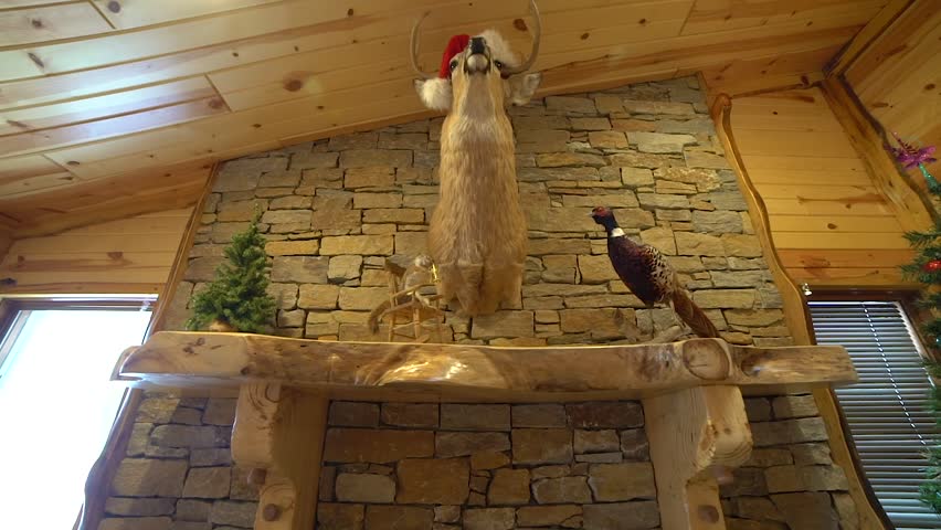 Stuffed Animal Hanging On The Stock Footage Video 100 Royalty