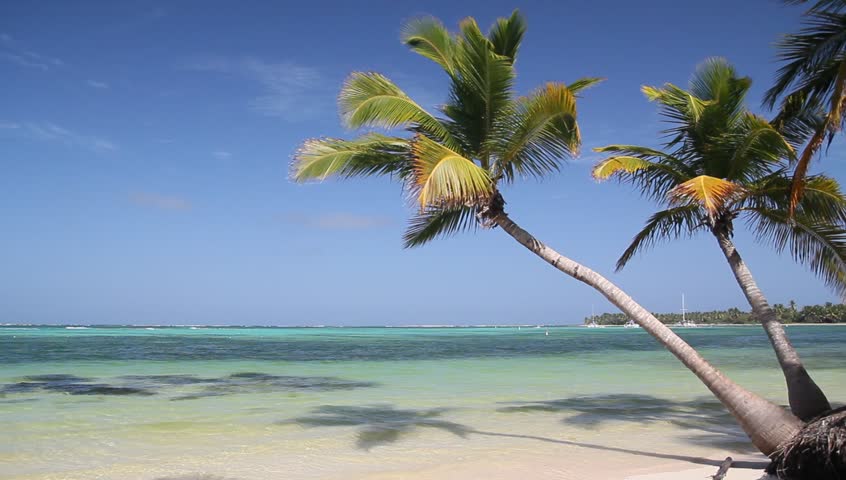 Coastline Landscape in the Dominican Republic image - Free stock photo ...