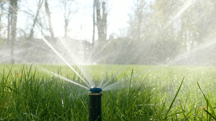  High volume garden watering schedule tips