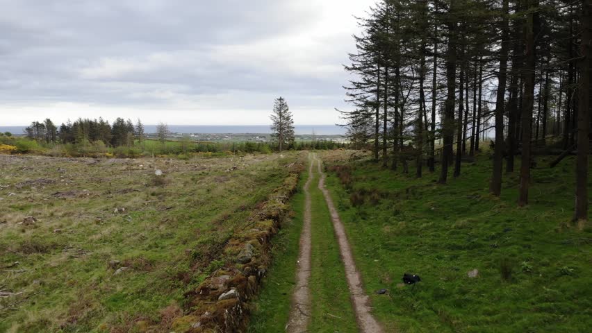 Dundalk IT in Dundalk, Ireland image - Free stock photo - Public Domain ...