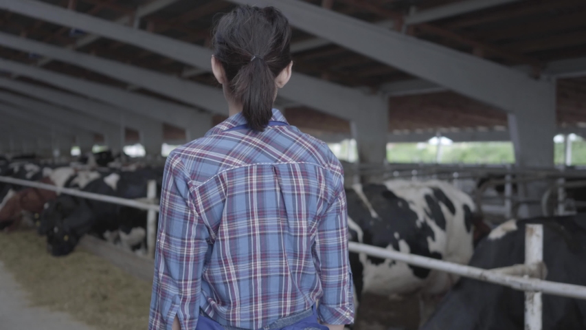 young-girls-on-the-farm-free-video-daisy-the-donkey-porn