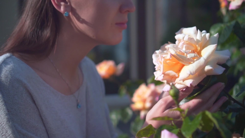 beautiful-women-smelling-rose image - Free stock photo - Public Domain ...