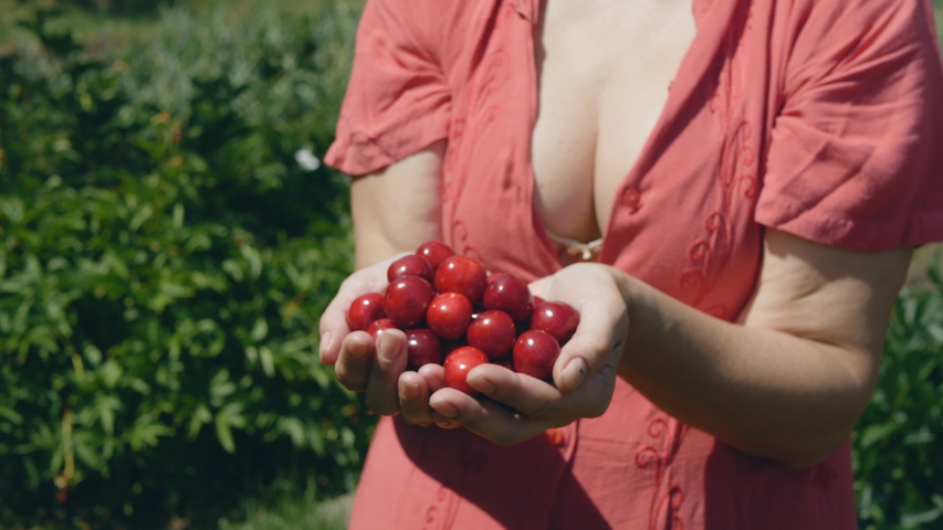Breast red, boob bra drunk pantie tit underwear