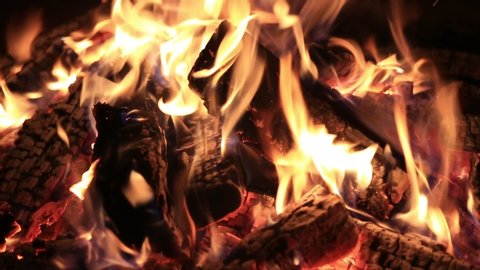 Pinon Pine Wood Burns As Stock Footage Video 100 Royalty Free