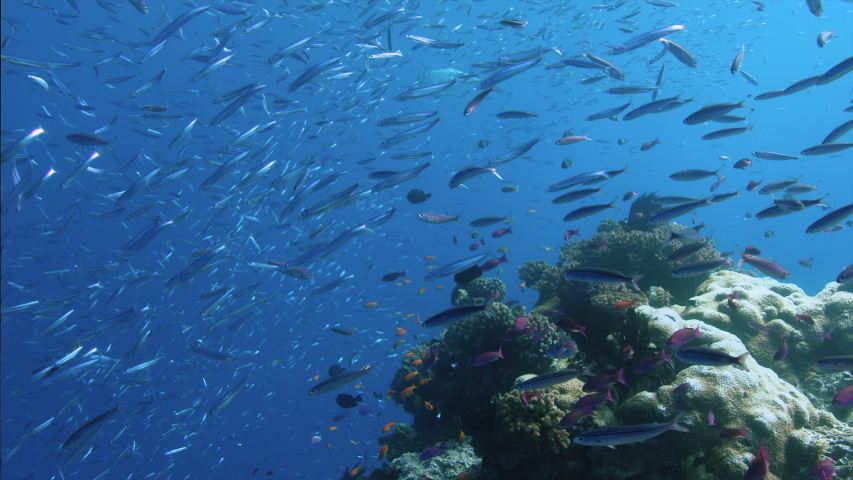 Water and ocean of the Great Barrier Reef in Queensland, Australia ...