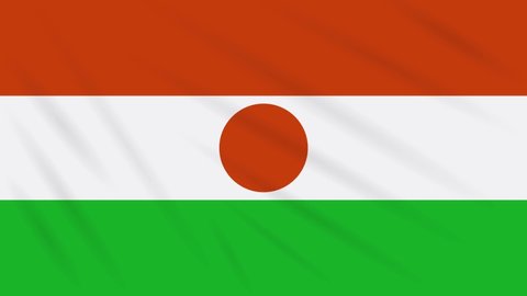 Flag Republic Of Niger Fluttering Stock Footage Video 100