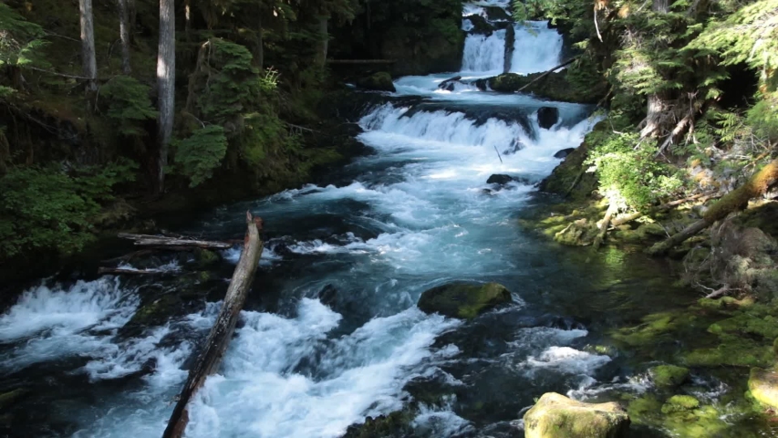 McKenzie River in the fall in Oregon image - Free stock photo - Public ...