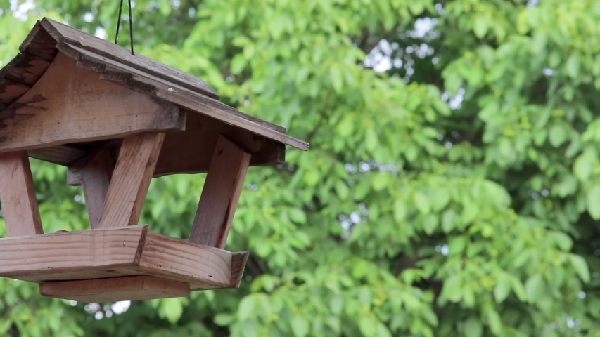 Rack Focus From Handmade Wooden Bird Feeder To Green Trees