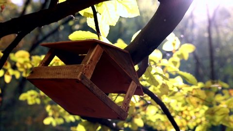 Squirrel On Bird Feeder In Winter Stock Video Footage 4k And Hd