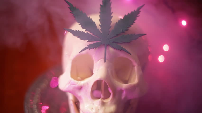 dátumové údaje lokalít pre potheads