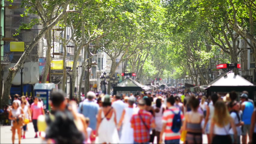 Header of crowdy