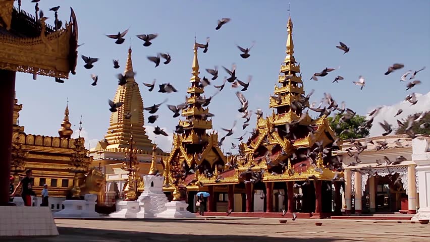 Image result for temple with birds