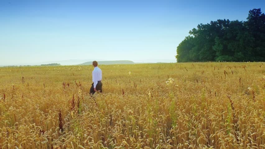 Carefree Young Man Walking In Wheat Field At Summertime Stock Footage ...