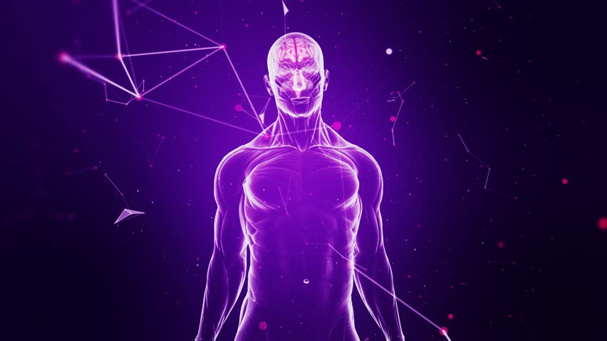 Brain and Nervous System Scan Stock Footage Video (100% Royalty-free