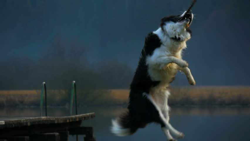 Header of Stick